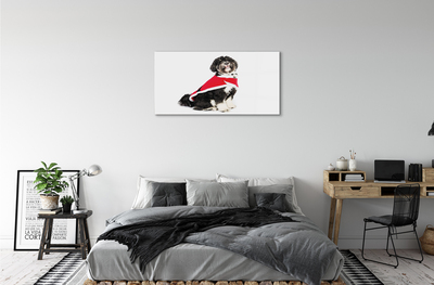 Acrylic print Dog
