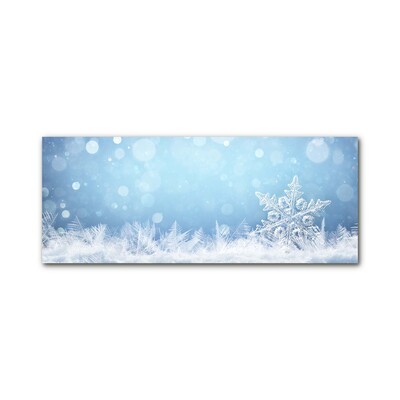 Plexiglas® Wall Art Snowflakes Winter Snow