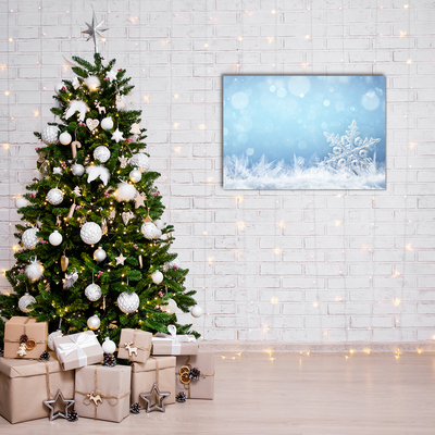 Plexiglas® Wall Art Snowflakes Winter Snow