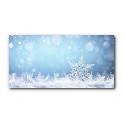 Plexiglas® Wall Art Snowflakes Winter Snow