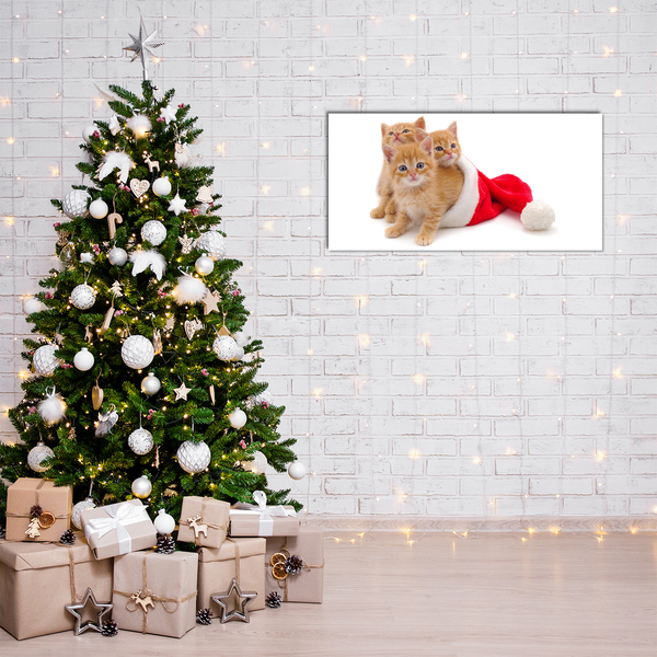 Acrylic Print Cats Christmas Santa Claus