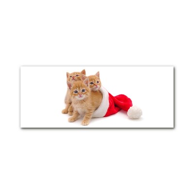 Acrylic Print Cats Christmas Santa Claus