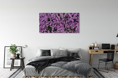 Canvas print Lilane flowers