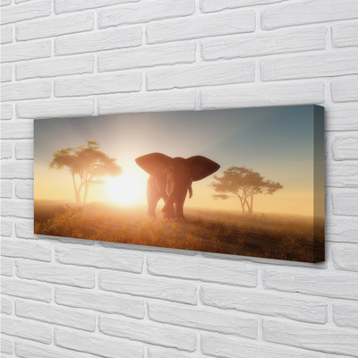 Canvas print Is the wave elephant
