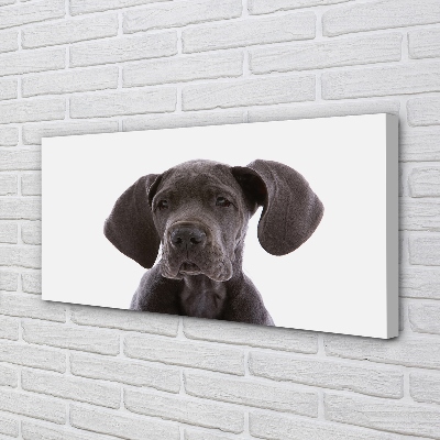 Canvas print Brown dog