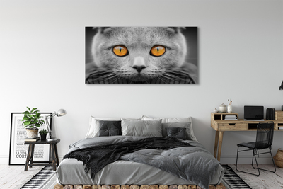 Canvas print British gray cat