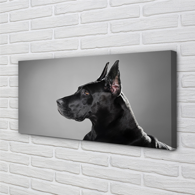 Canvas print Black dog