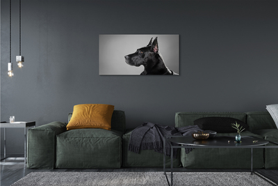 Canvas print Black dog