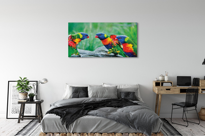 Canvas print Parrot colorful wave