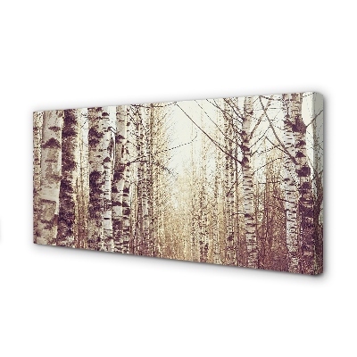 Canvas print Trees