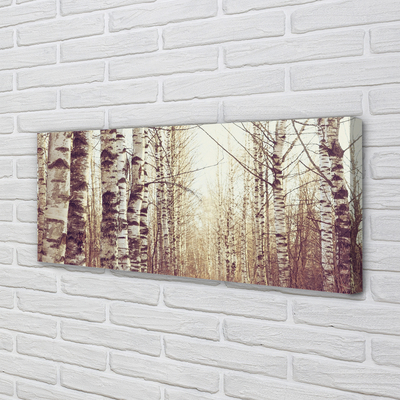 Canvas print Trees