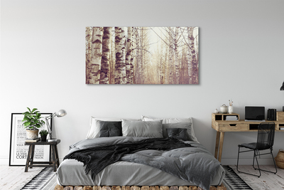 Canvas print Trees