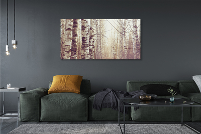 Canvas print Trees