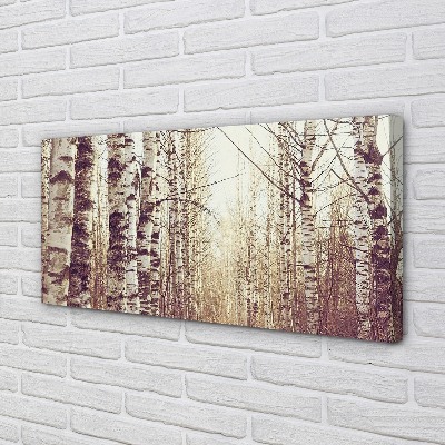 Canvas print Trees