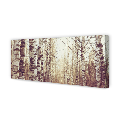 Canvas print Trees