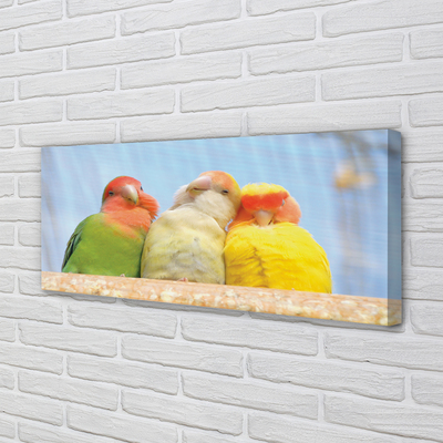 Canvas print Colorful parrot