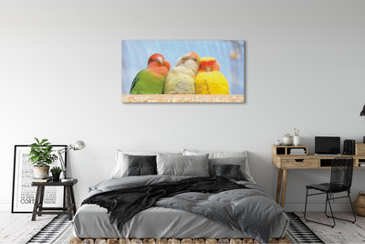 Canvas print Colorful parrot