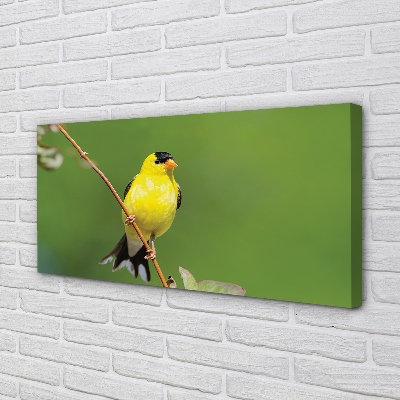 Canvas print Yellow parrot