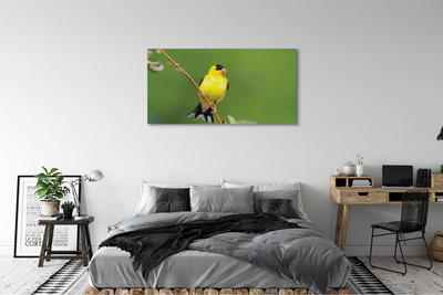 Canvas print Yellow parrot