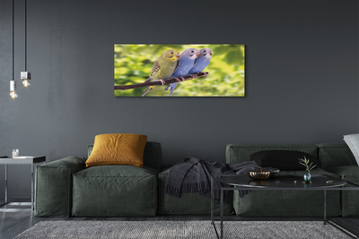Canvas print Parrot on a branch colored