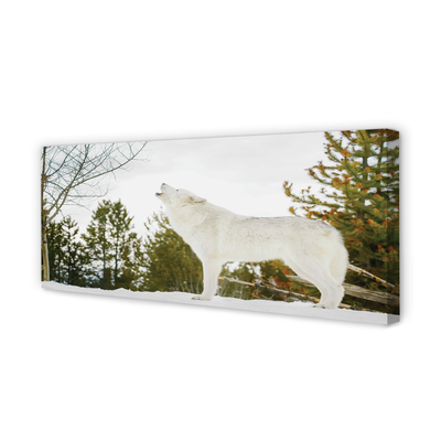 Canvas print Loup winter forest