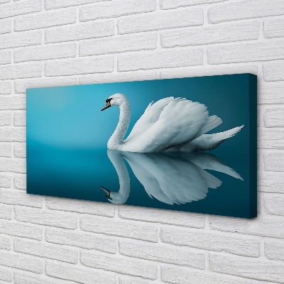 Canvas print Swan in the water