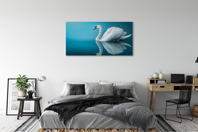 Canvas print Swan in the water