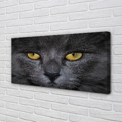 Canvas print Black cat