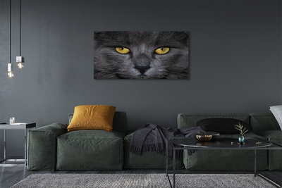Canvas print Black cat