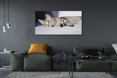 Canvas print Cat lying
