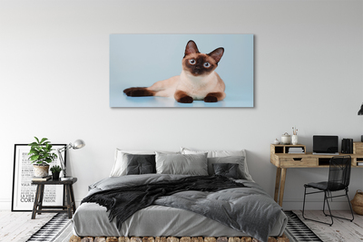 Canvas print Cat lying