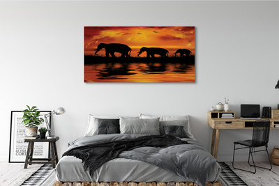 Canvas print Westlake elephants