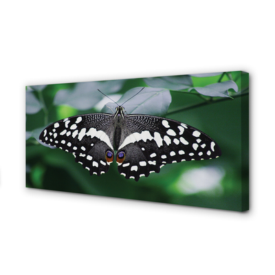 Canvas print Butterfly colorful leaves