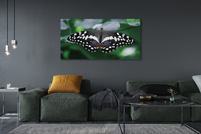 Canvas print Butterfly colorful leaves