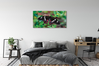 Canvas print Leaves colored butterfly