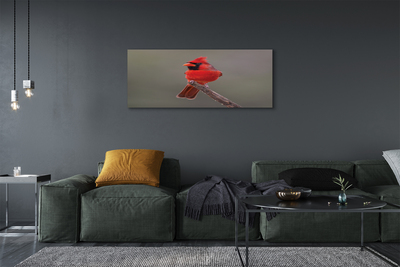 Canvas print Red parrot on a branch