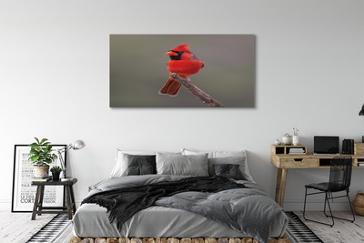 Canvas print Red parrot on a branch