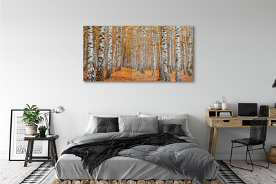 Canvas print Fall trees