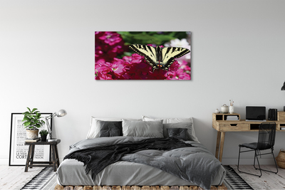 Canvas print Butterfly flower