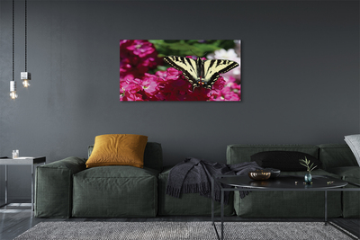 Canvas print Butterfly flower