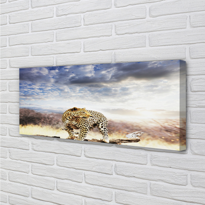 Canvas print Panther clouds