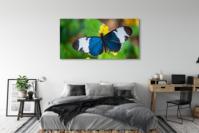 Canvas print Colorful butterfly on flowers