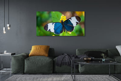 Canvas print Colorful butterfly on flowers