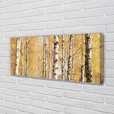 Canvas print Fall trees