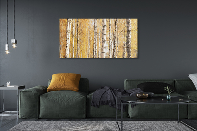 Canvas print Fall trees