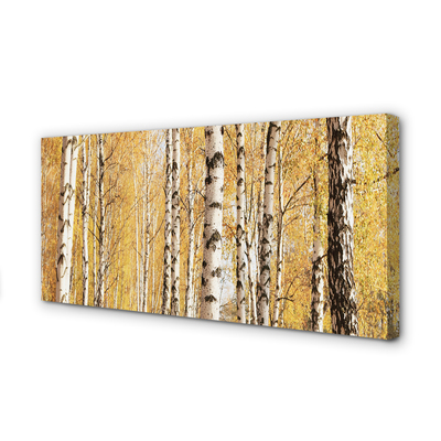 Canvas print Fall trees