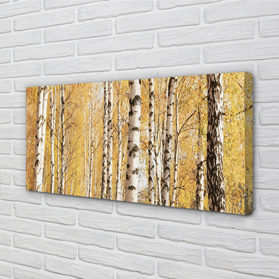 Canvas print Fall trees