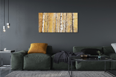 Canvas print Fall trees