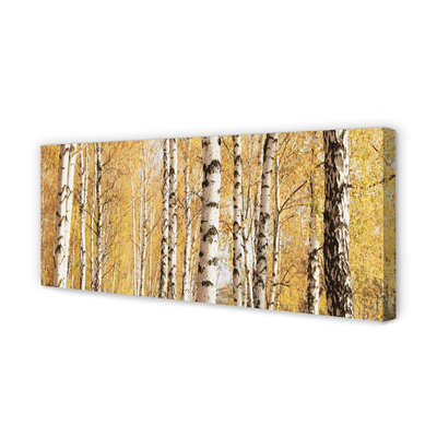 Canvas print Fall trees