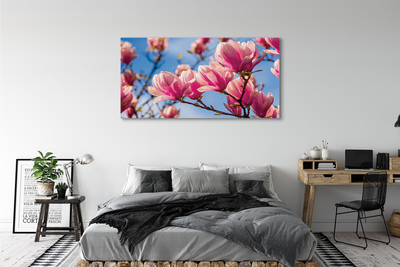 Canvas print Flowering trees